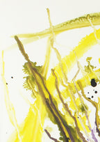 Durchblick im Algendschungel - Original auf Papier