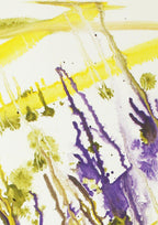 Durchblick im Algendschungel - Original auf Papier