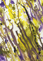 Durchblick im Algendschungel - Original auf Papier