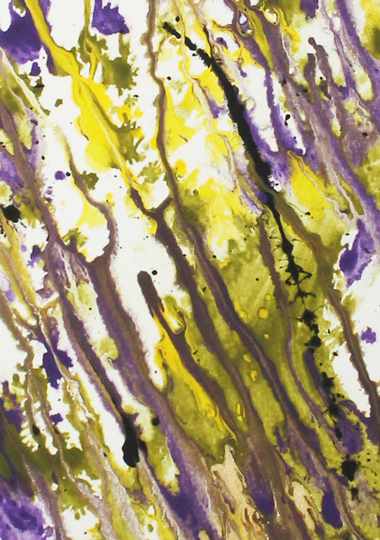 Durchblick im Algendschungel - Original auf Papier