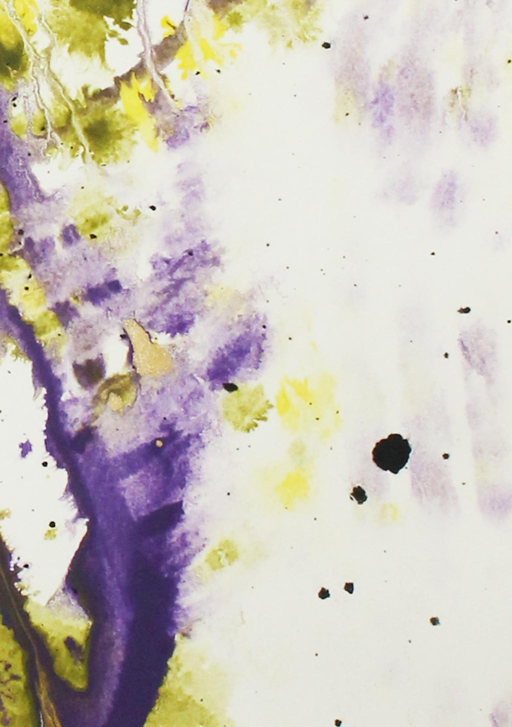 Durchblick im Algendschungel - Original auf Papier