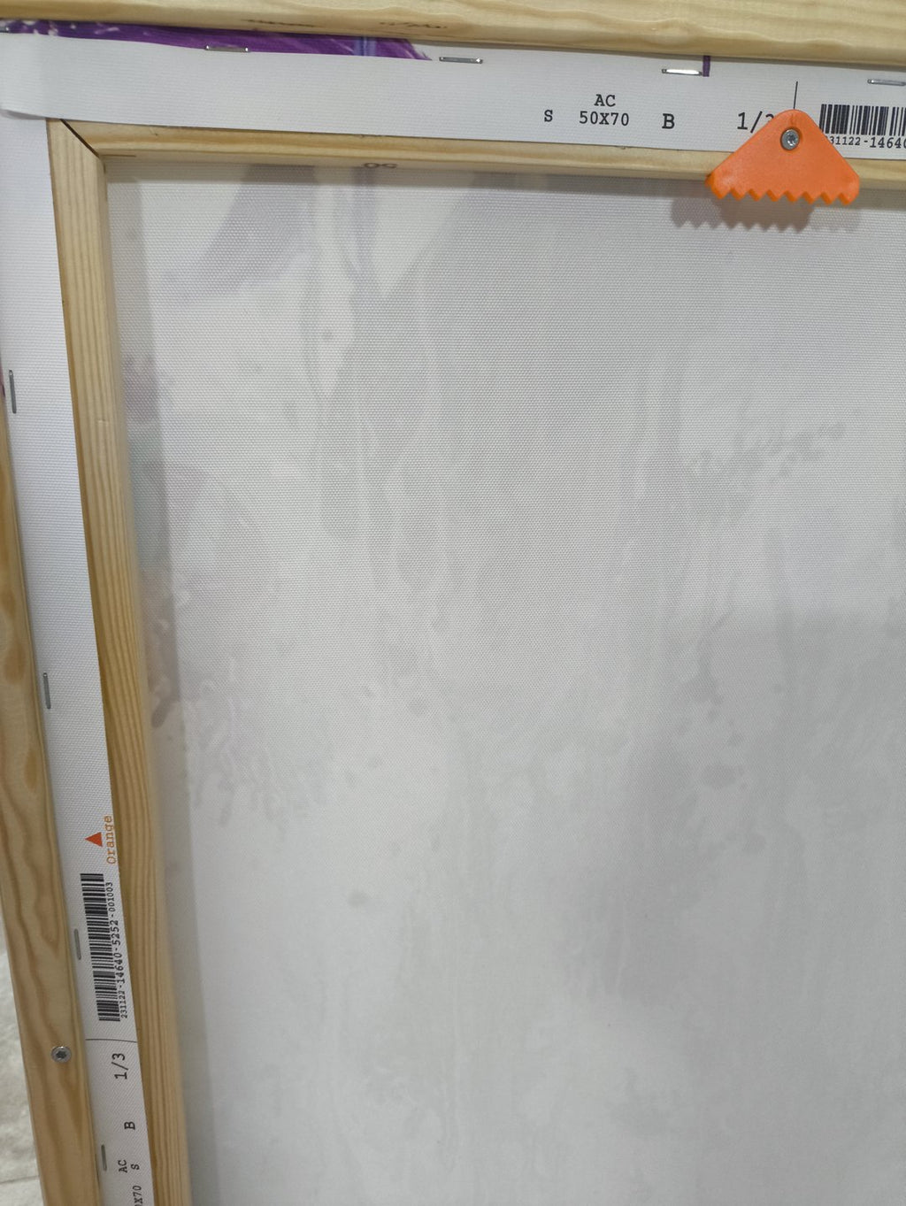 Eule trifft Schmetterling - Druck auf Leinwand (Limitiert)