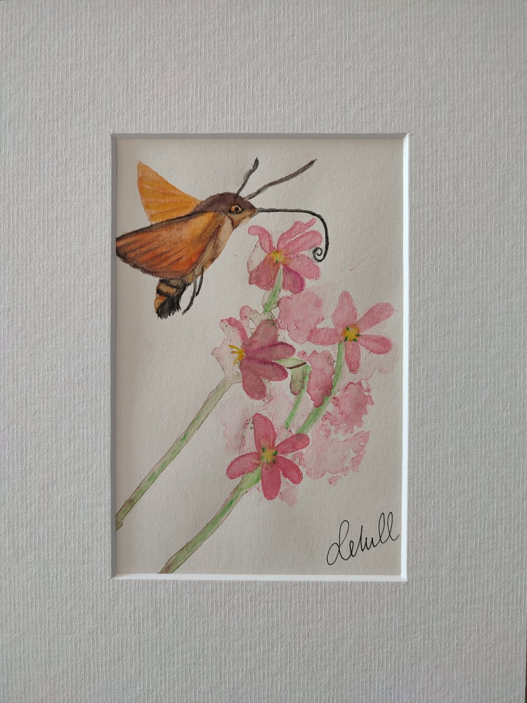 Taubenschwänzchen am Seifenkraut 2 - Original auf Papier