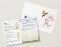 Taubenschwänzchen-Lebensraum-Paket – Schenke dem europäischen Kolibri ein Zuhause