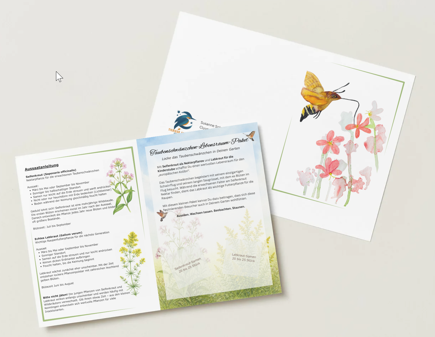 Taubenschwänzchen-Lebensraum-Paket – Schenke dem europäischen Kolibri ein Zuhause