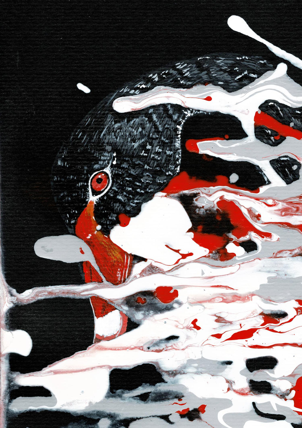 The black swan - Original auf Papier
