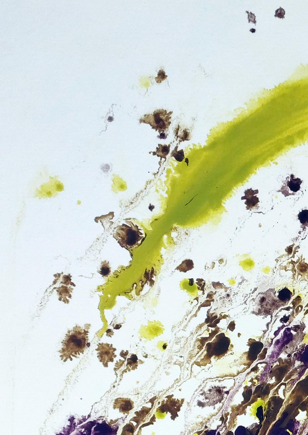 Wüstenschiff - Original auf Papier