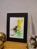 Hummel am Leinkraut - Original auf Papier