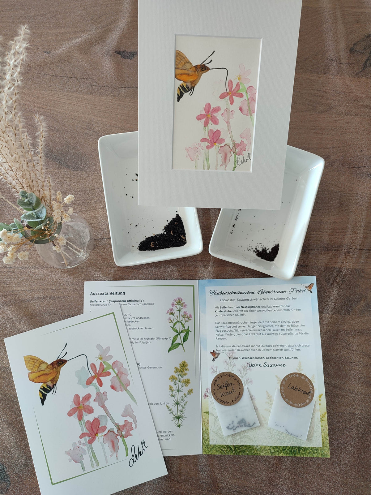Taubenschwänzchen-Lebensraum-Paket – Schenke dem europäischen Kolibri ein Zuhause