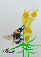 Hummel am Leinkraut - Original auf Papier